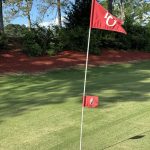 green grass with the flag in the hole.
