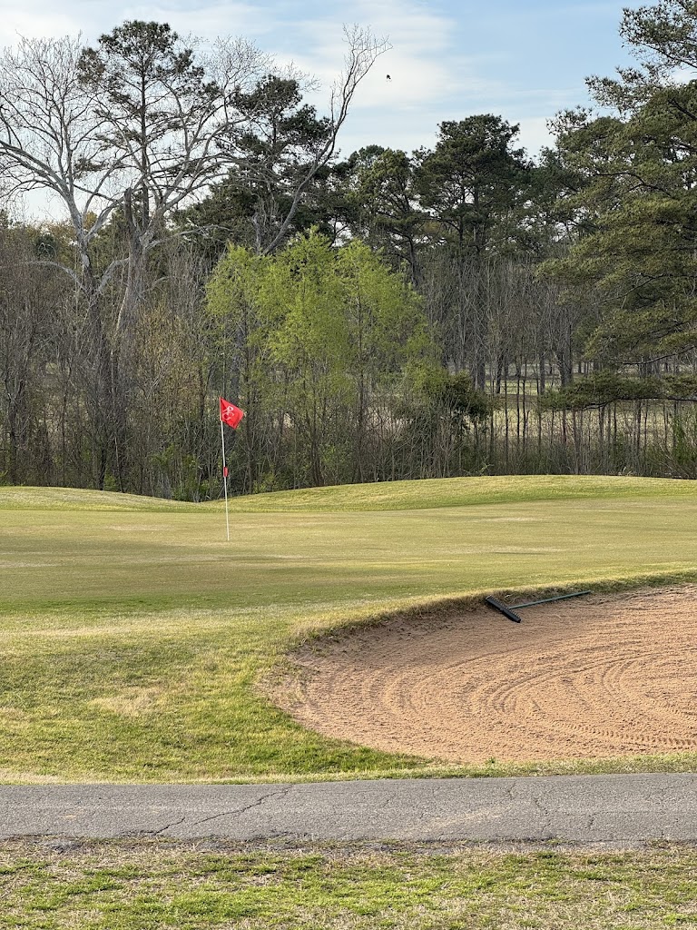 Panoramic view of a lush green golf course at Roebuck Golf Course. Smooth