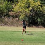 green grass with the flag in the hole.