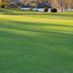 green grass with the flag in the hole.