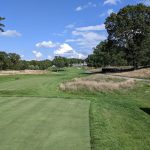 green grass with the flag in the hole.