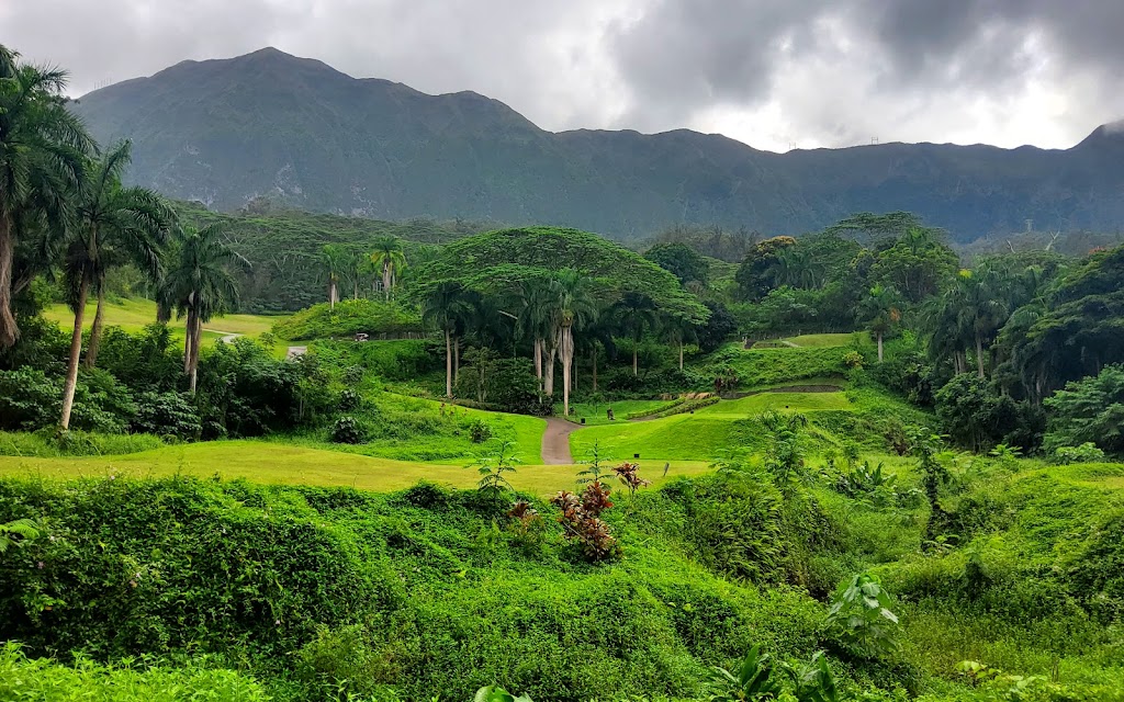 Panoramic view of a lush green golf course at Royal Hawaiian Golf Club. Smooth