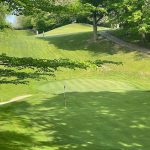 green grass with the flag in the hole.