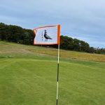 green grass with the flag in the hole.