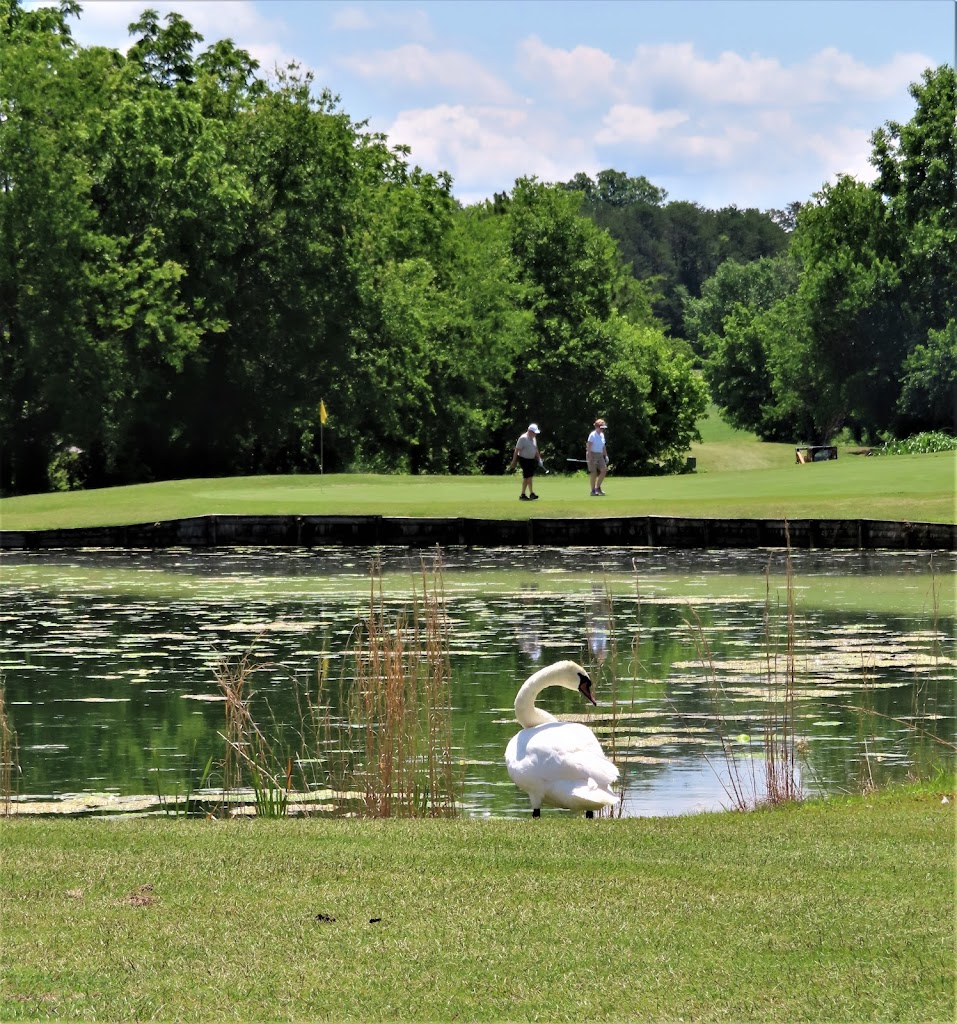 Panoramic view of a lush green golf course at Ruggles Ferry Golf Course. Smooth