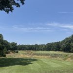 green grass with the flag in the hole.