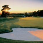 green grass with the flag in the hole.