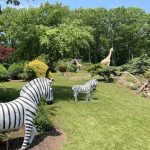 Panoramic view of a lush green golf course at Safari Golf. Smooth