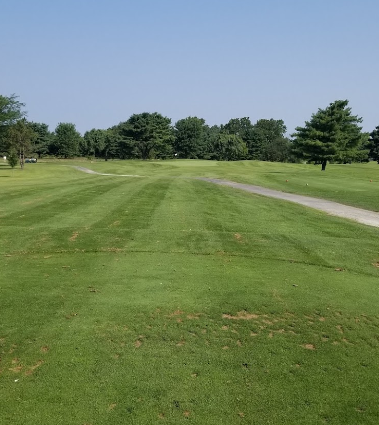 Panoramic view of a lush green golf course at Sahm Golf Course. Smooth