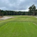 green grass with the flag in the hole.