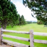 Panoramic view of a lush green golf course at Sand Creek Golf Course. Smooth