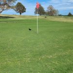 green grass with the flag in the hole.