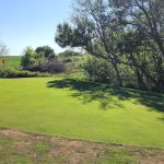 Panoramic view of a lush green golf course at Sandy Meadows Golf Course. Smooth