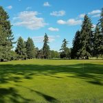 green grass with the flag in the hole.