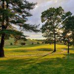 green grass with the flag in the hole.