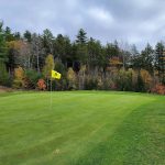 green grass with the flag in the hole.