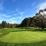 green grass with the flag in the hole.