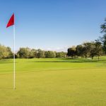 green grass with the flag in the hole.