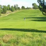 green grass with the flag in the hole.