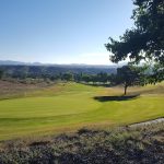 green grass with the flag in the hole.