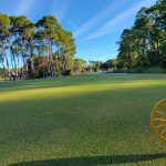 green grass with the flag in the hole.