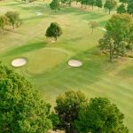 green grass with the flag in the hole.