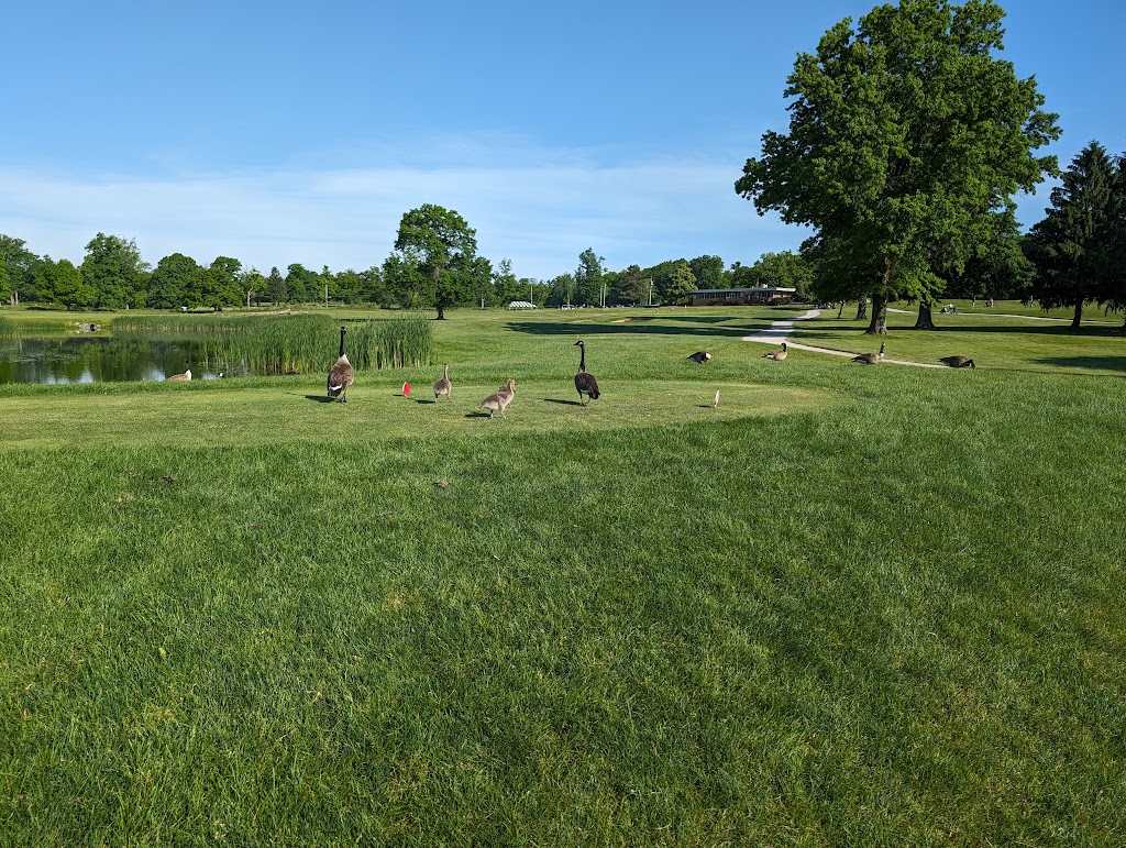 Panoramic view of a lush green golf course at Seneca Golf Course. Smooth