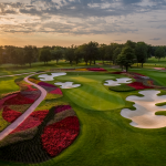green grass with the flag in the hole.