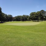 green grass with the flag in the hole.