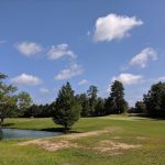 green grass with the flag in the hole.