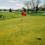 green grass with the flag in the hole.