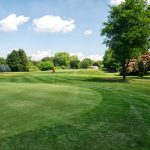 green grass with the flag in the hole.