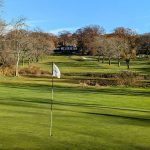 green grass with the flag in the hole.