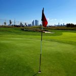 green grass with the flag in the hole.
