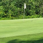 green grass with the flag in the hole.