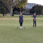 green grass with the flag in the hole.