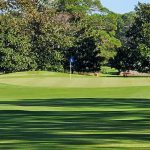 green grass with the flag in the hole.