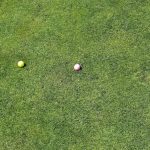 green grass with the flag in the hole.