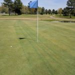 green grass with the flag in the hole.