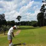 green grass with the flag in the hole.