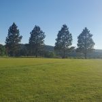 Panoramic view of a lush green golf course at Spearfish Canyon Golf Club. Smooth