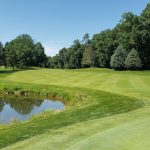 green grass with the flag in the hole.