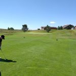 green grass with the flag in the hole.