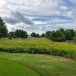 Panoramic view of a lush green golf course at Springbrook Golf Club. Smooth