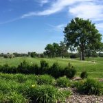 Panoramic view of a lush green golf course at Springhill Golf Course. Smooth