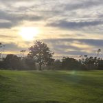 green grass with the flag in the hole.