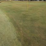 green grass with the flag in the hole.