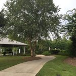 Panoramic view of a lush green golf course at Steelwood. Smooth