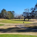 green grass with the flag in the hole.