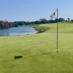 green grass with the flag in the hole.